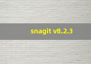 snagit v8.2.3